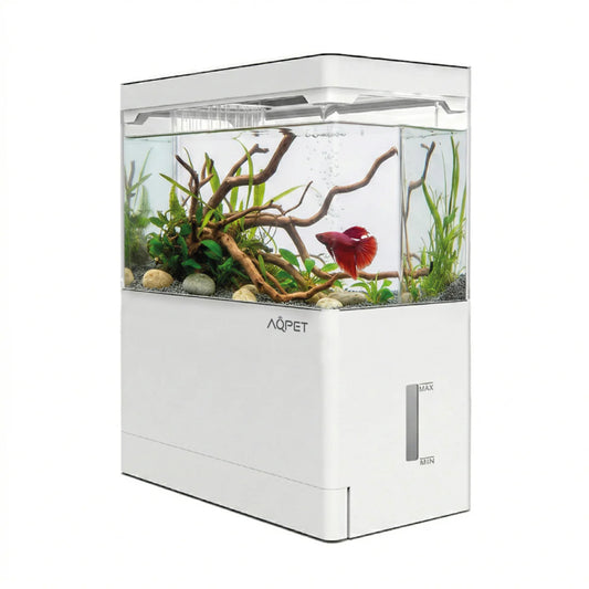 AQPet Hydo Starter Kit Acquario Completo Betta e Caridine con LED e Filtro | Animal instinct Roma