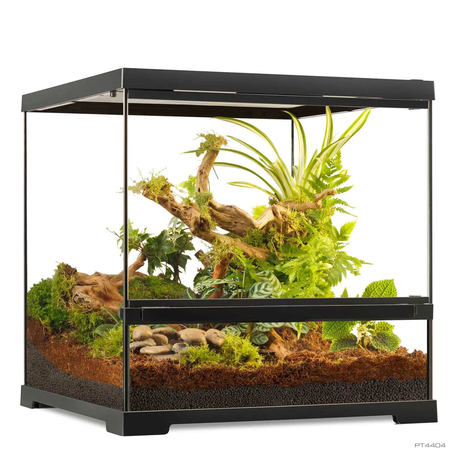 Pro Terrarium Small Wide 45x45x45 cm | Exo Terra Terrario Naturale Avanzato | Animal instinct Roma