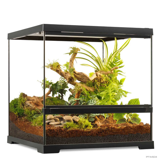 Pro Terrarium Small Wide 45x45x45 cm | Exo Terra Terrario Naturale Avanzato | Animal instinct Roma