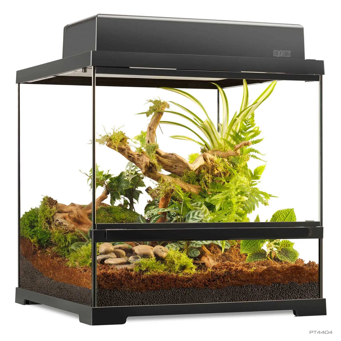 Pro Terrarium Small Wide 45x45x45 cm | Exo Terra Terrario Naturale Avanzato | Animal instinct Roma