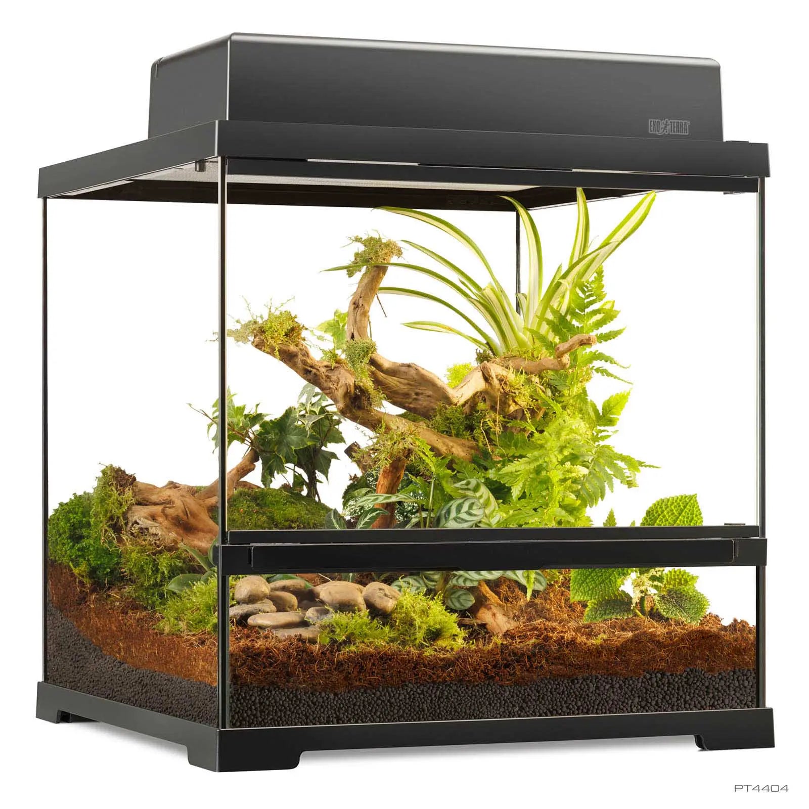 Pro Terrarium Small Wide 45x45x45 cm | Exo Terra Terrario Naturale Avanzato | Animal instinct Roma