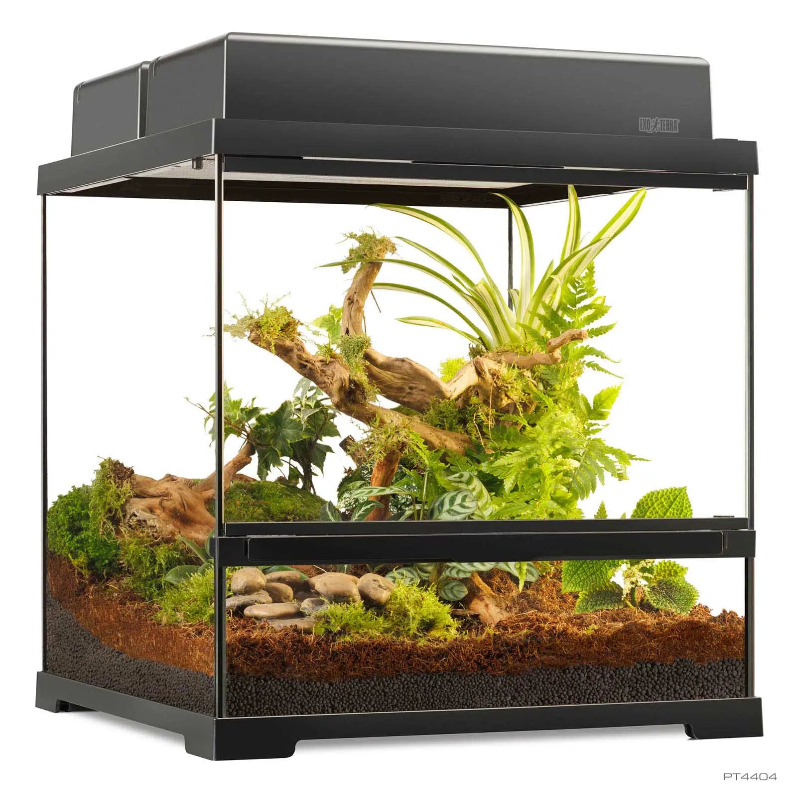 Pro Terrarium Small Wide 45x45x45 cm | Exo Terra Terrario Naturale Avanzato | Animal instinct Roma