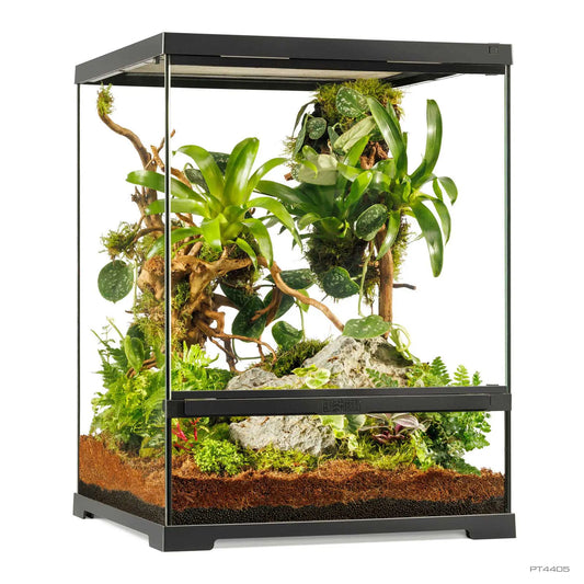 Pro Terrarium Small Tall 45x45x60 cm | Exo Terra Terrario Naturale Avanzato