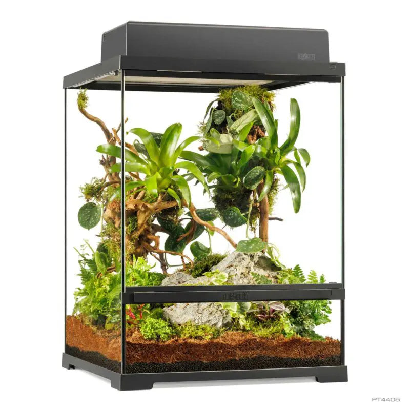 Pro Terrarium Small Tall 45x45x60 cm | Exo Terra Terrario Naturale Avanzato