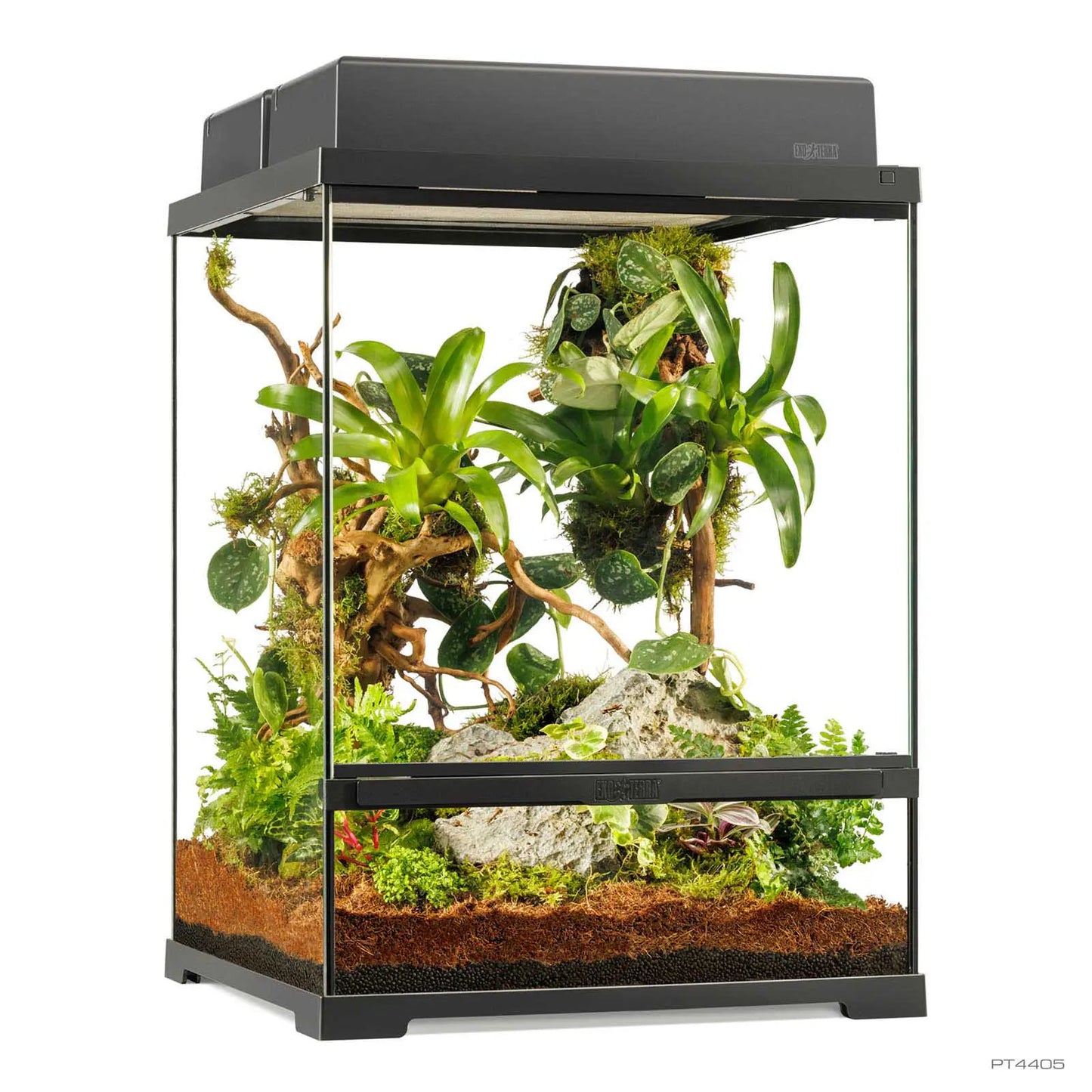 Pro Terrarium Small Tall 45x45x60 cm | Exo Terra Terrario Naturale Avanzato
