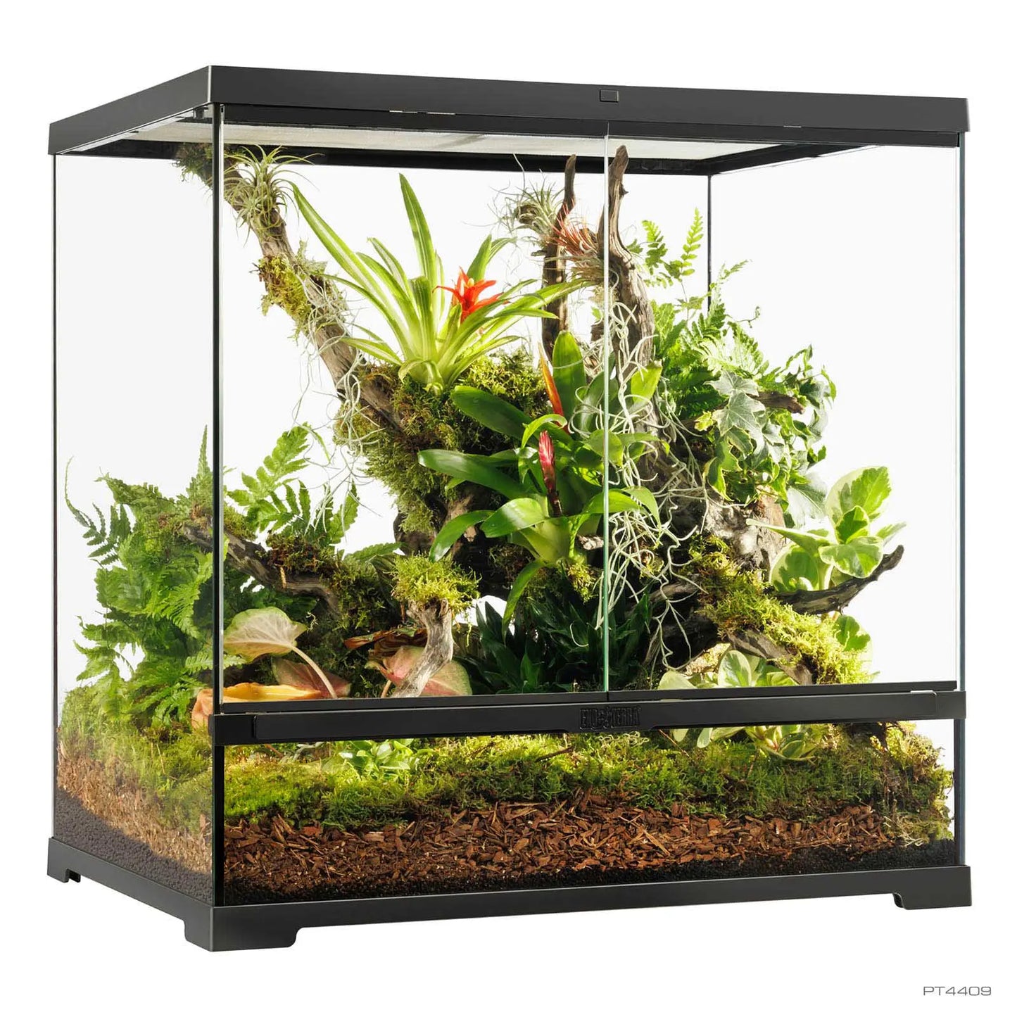 Pro Terrarium Medium Tall 60x45x60 cm | Exo Terra Terrario Naturale Alto