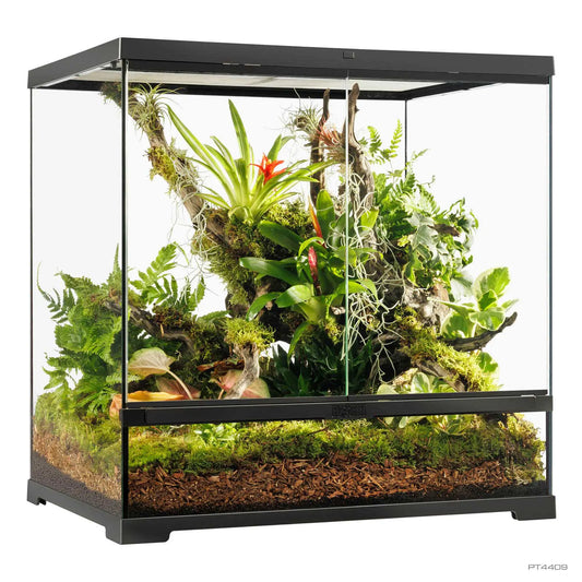 Pro Terrarium Medium Tall 60x45x60 cm | Exo Terra Terrario Naturale Alto