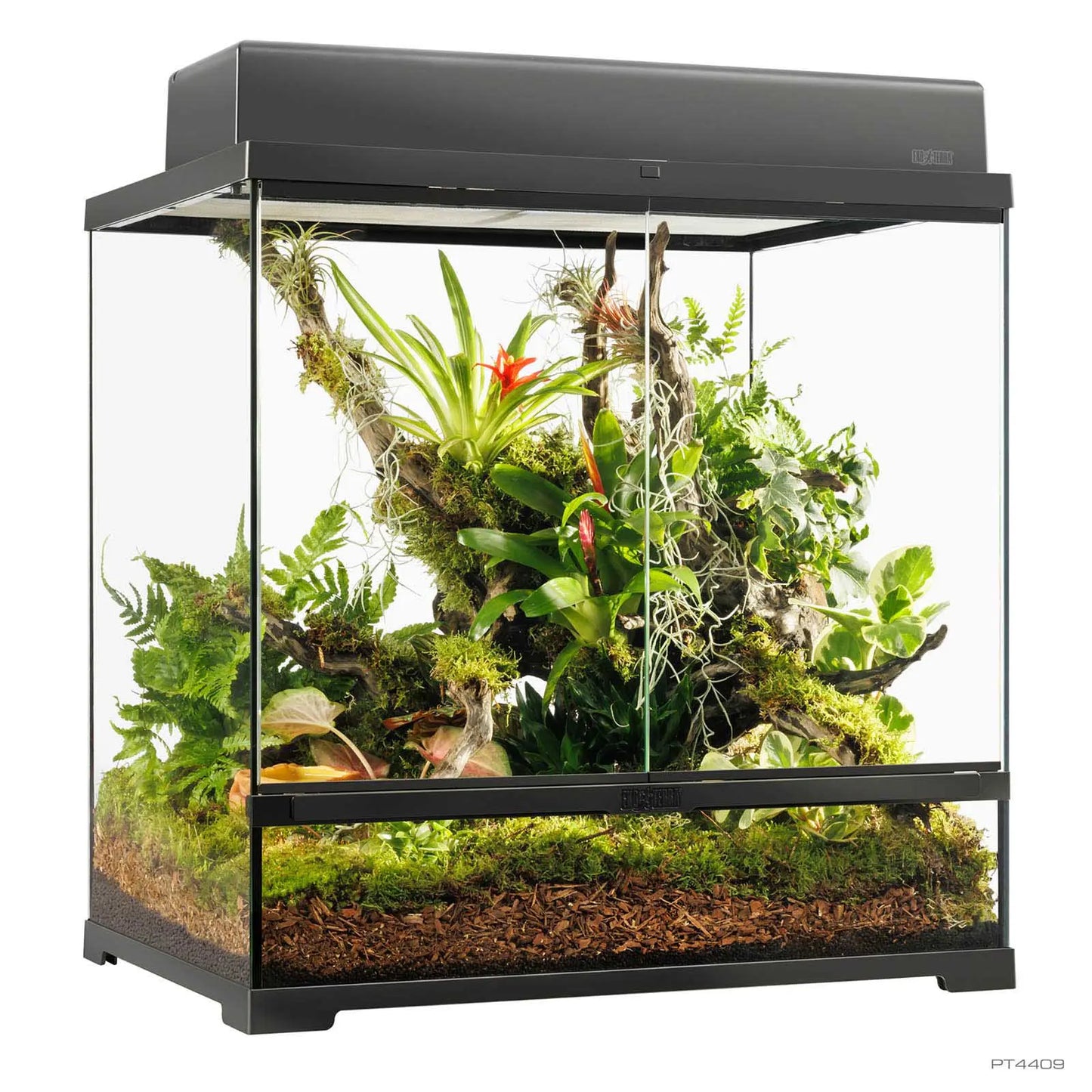 Pro Terrarium Medium Tall 60x45x60 cm | Exo Terra Terrario Naturale Alto