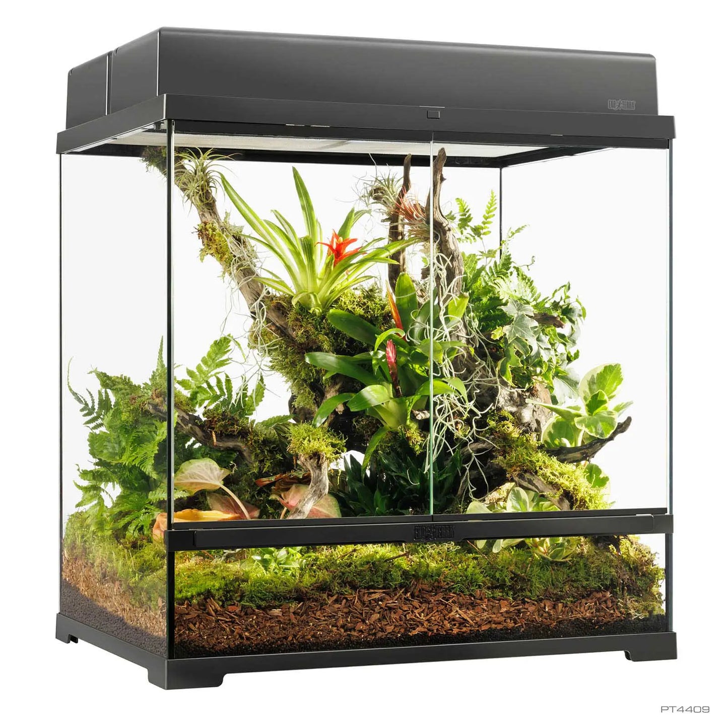 Pro Terrarium Medium Tall 60x45x60 cm | Exo Terra Terrario Naturale Alto