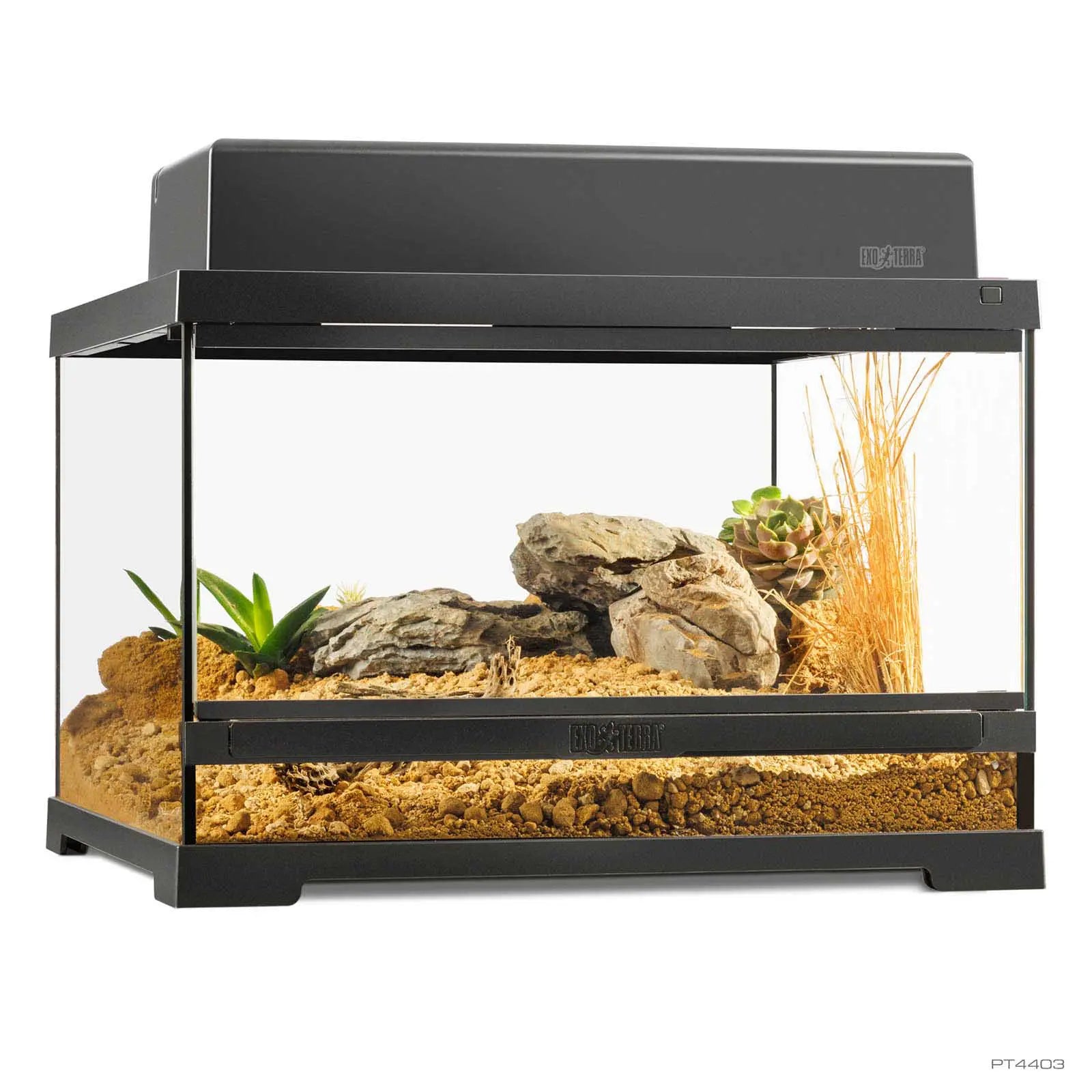 Pro Terrarium Small Low 45x45x30 cm | Exo Terra Terrario Naturale Basso