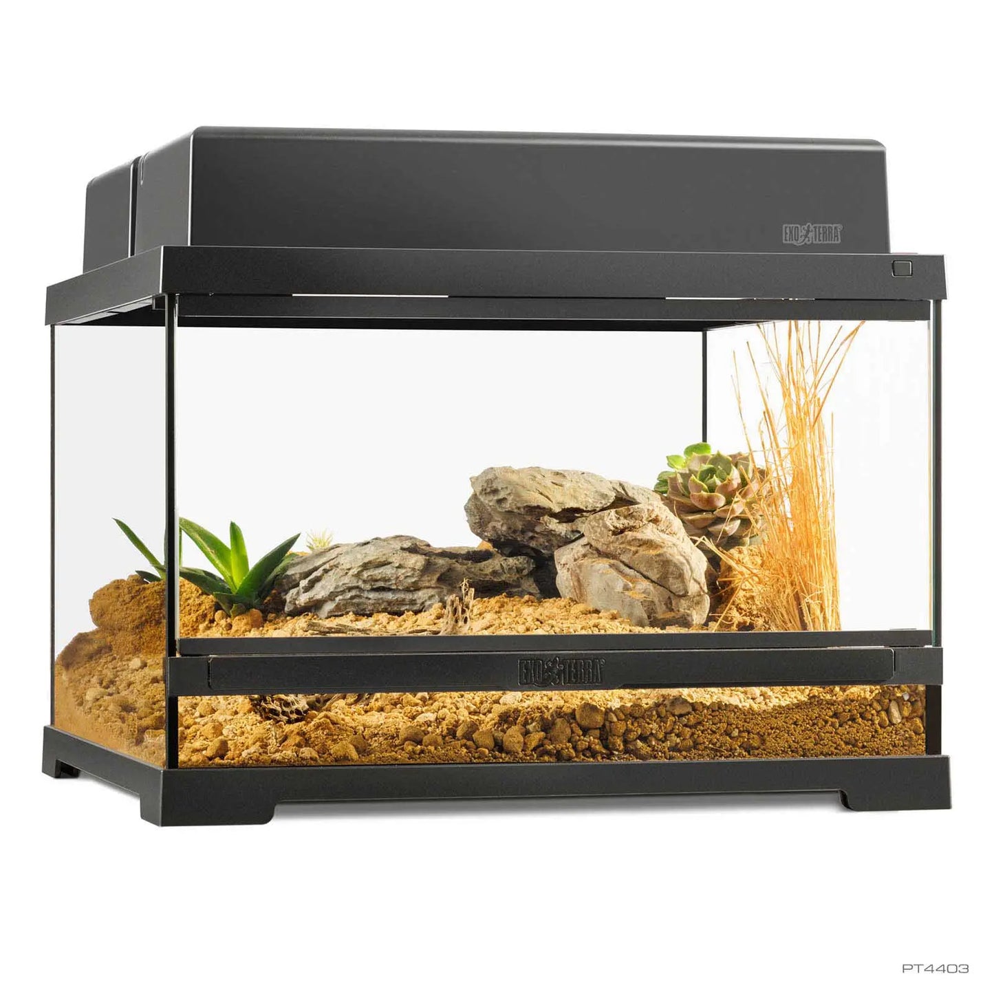 Pro Terrarium Small Low 45x45x30 cm | Exo Terra Terrario Naturale Basso