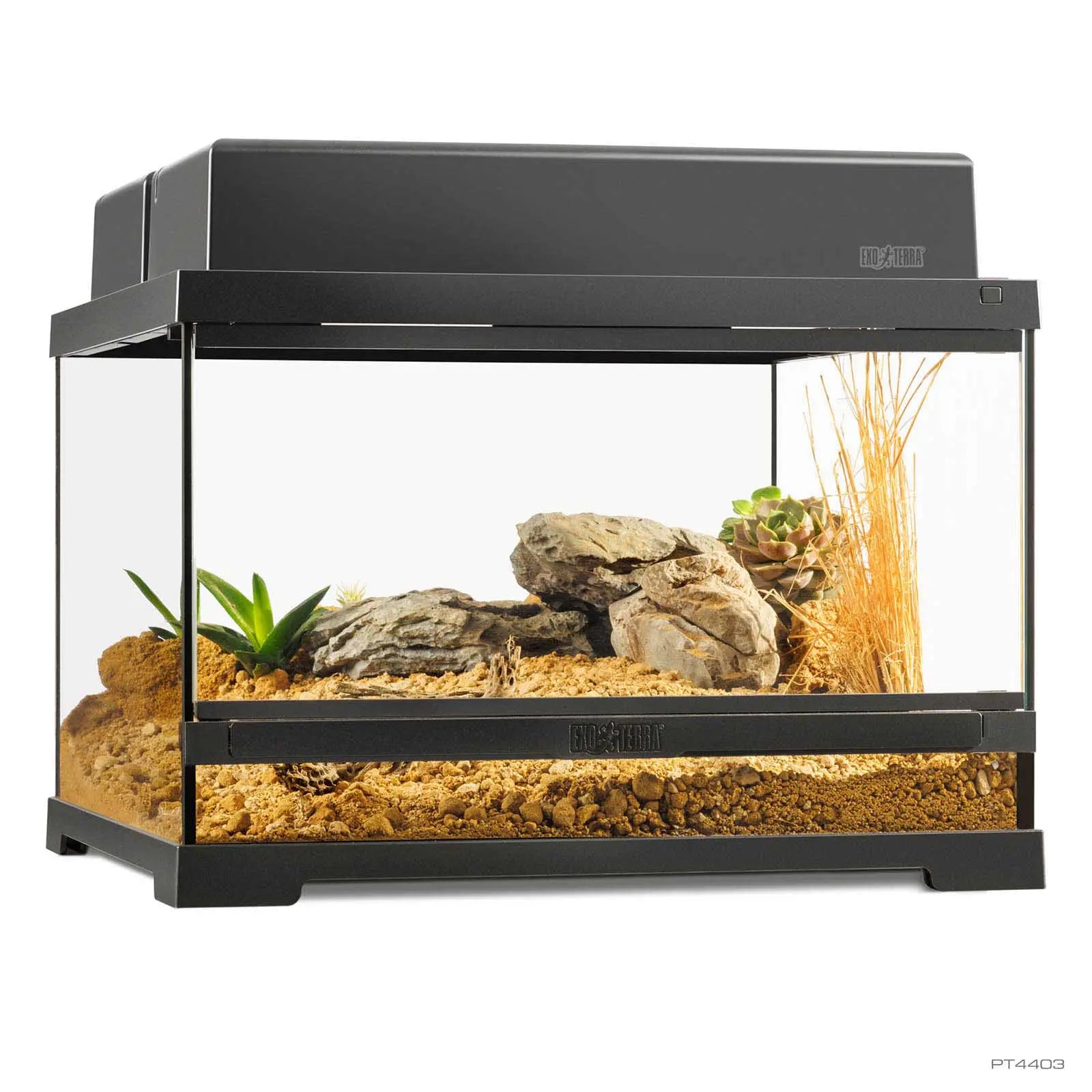 Pro Terrarium Small Low 45x45x30 cm | Exo Terra Terrario Naturale Basso
