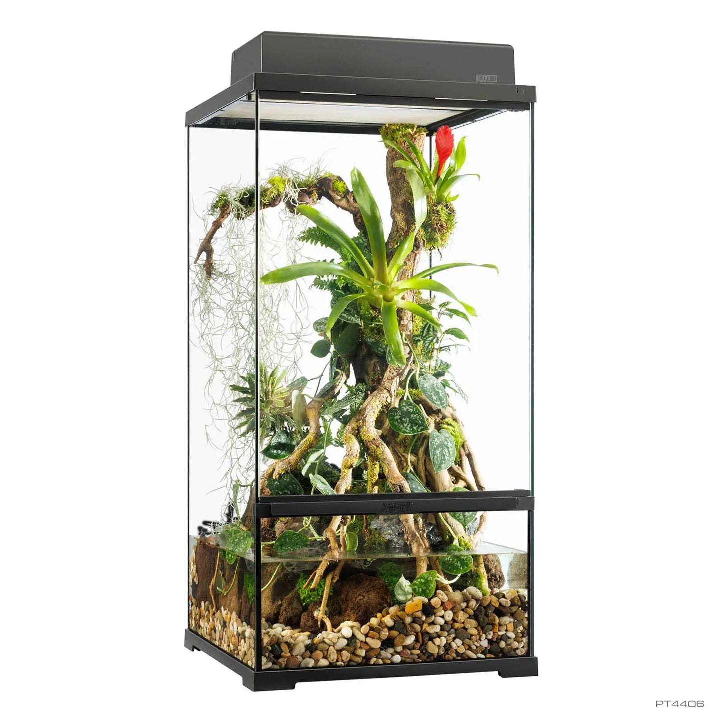 Pro Paludarium Small X-Tall 45x45x90 cm | Exo Terra con Fondo Drenante