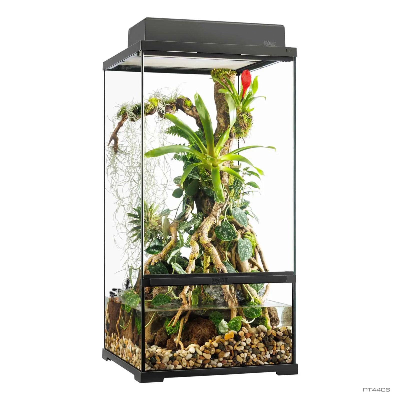 Pro Paludarium Small X-Tall 45x45x90 cm | Exo Terra con Fondo Drenante