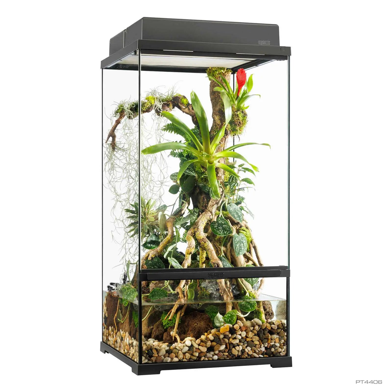 Pro Paludarium Small X-Tall 45x45x90 cm | Exo Terra con Fondo Drenante