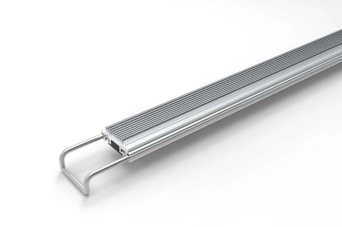 Silver Fork