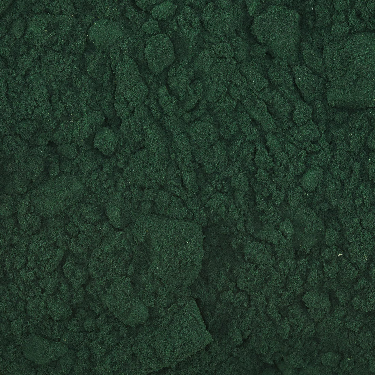 SHG Spirulina in polvere