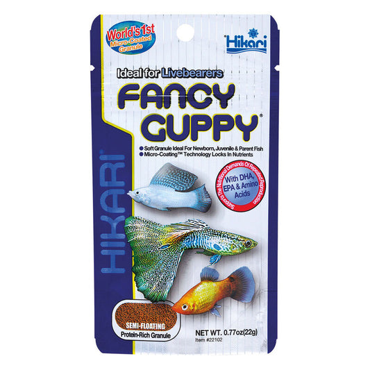 Hikari Fancy Guppy