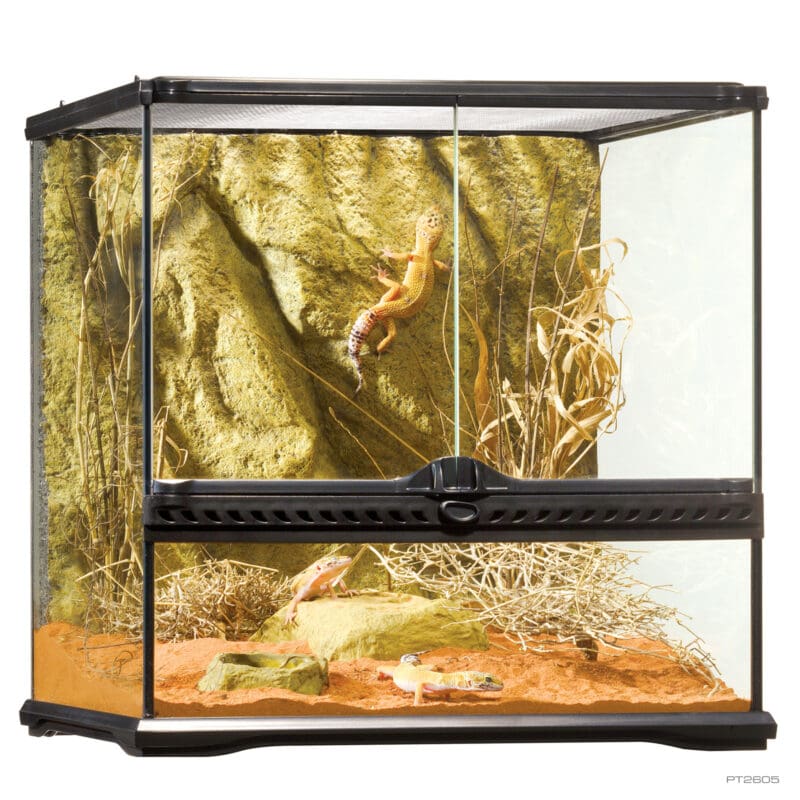 Terrarium Small Wide