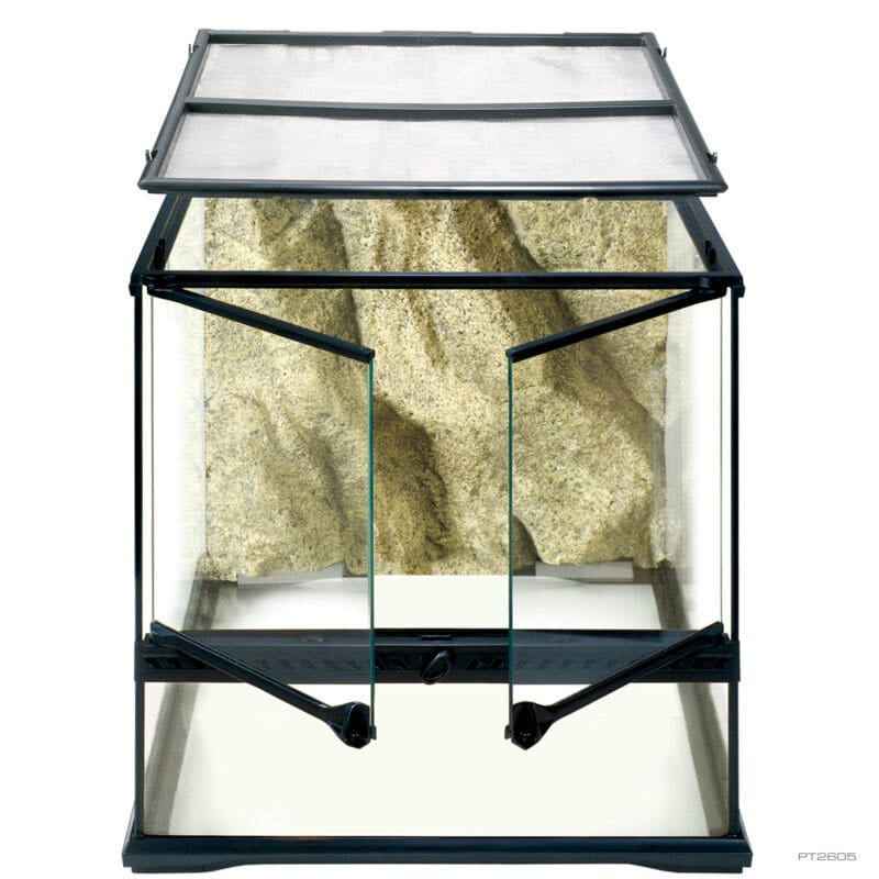 Terrarium Small Wide