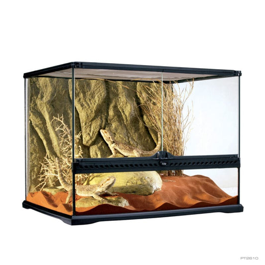 Terrarium Medium Wide