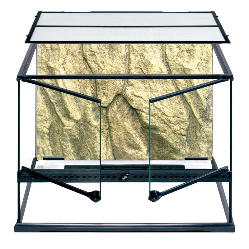 Terrarium Medium Wide