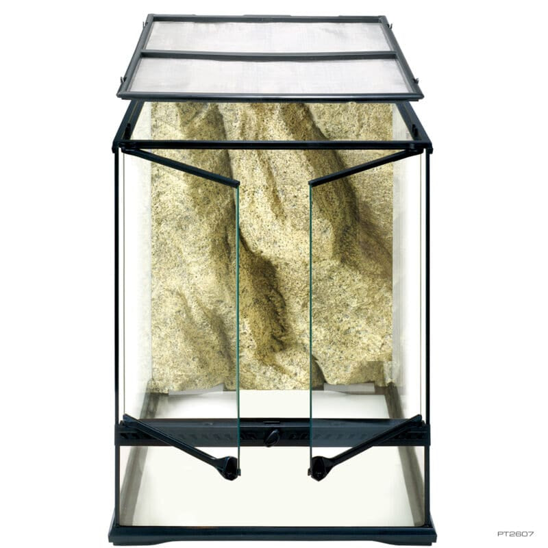 Terrarium Small Tall