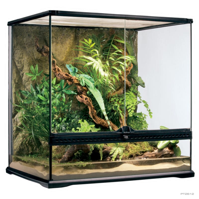 Terrarium Medium Tall