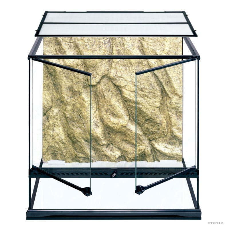 Terrarium Medium Tall