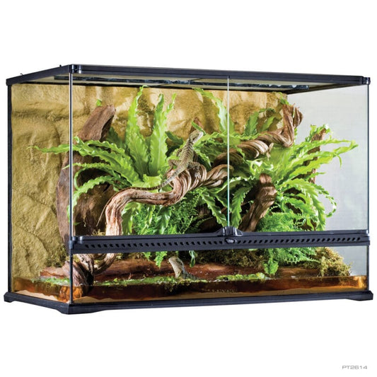 Large Terrarium Tall