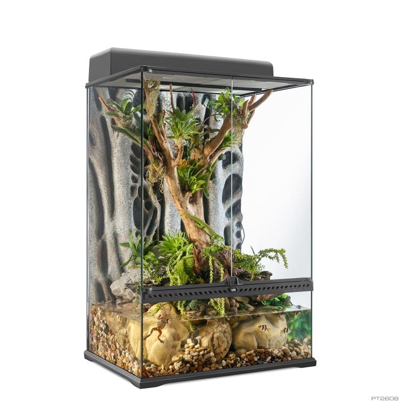 Terrarium Medium X-Tall