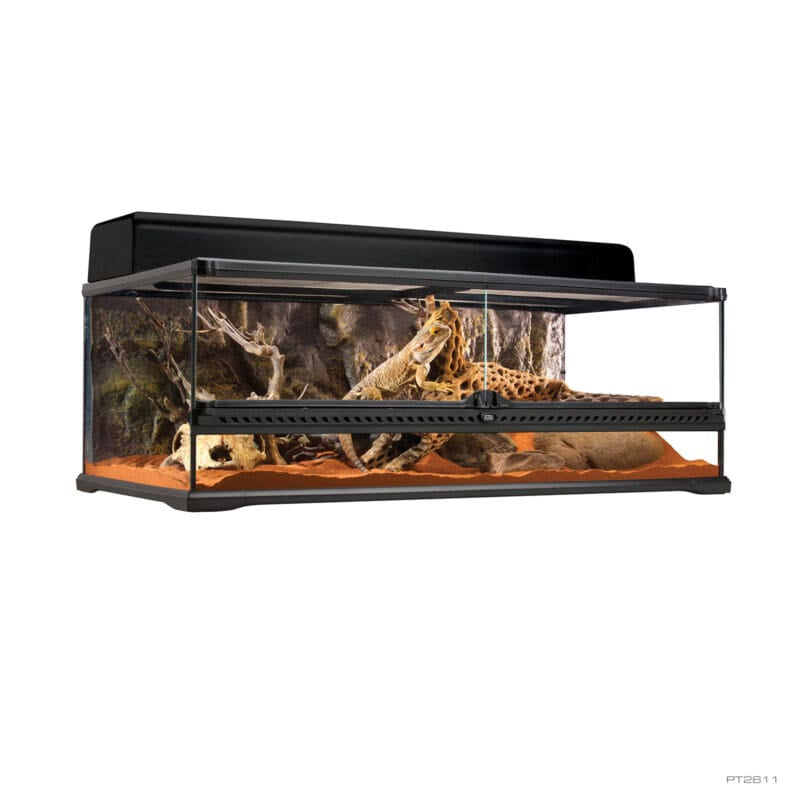 Terrarium Large Low