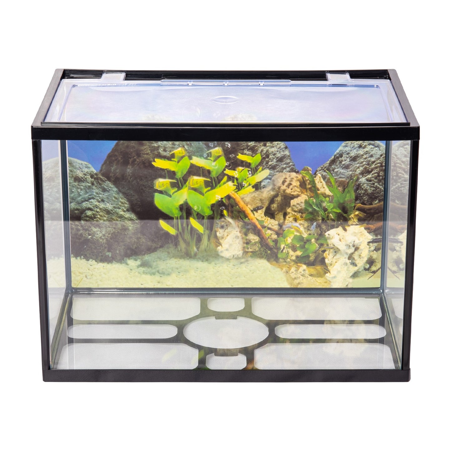 One Mini acquario