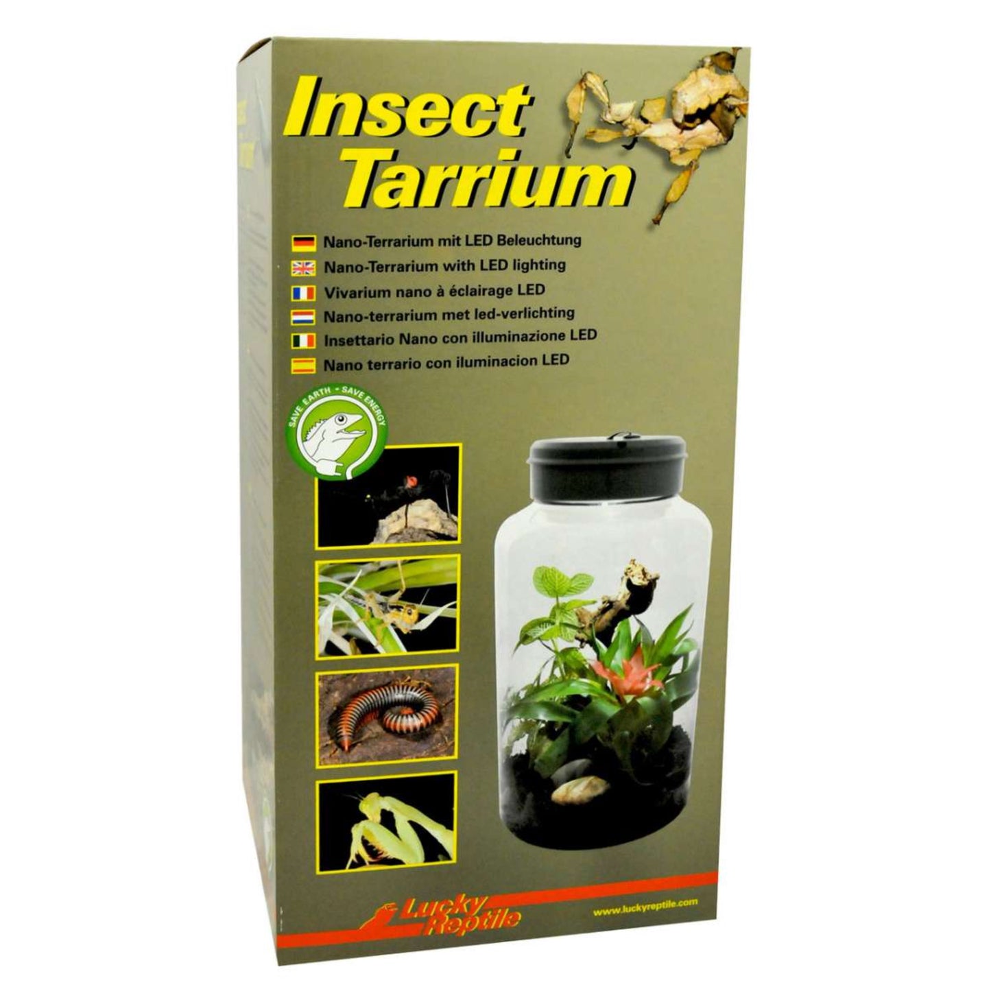 Insect Tarrium