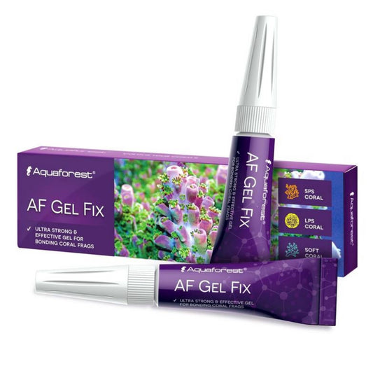 AF Gel Fix