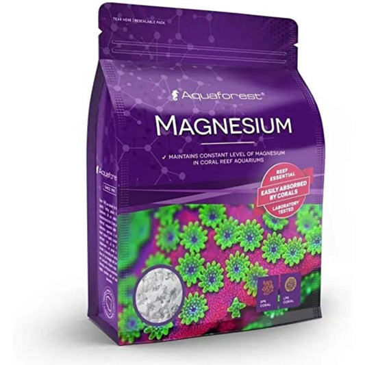 Magnesium